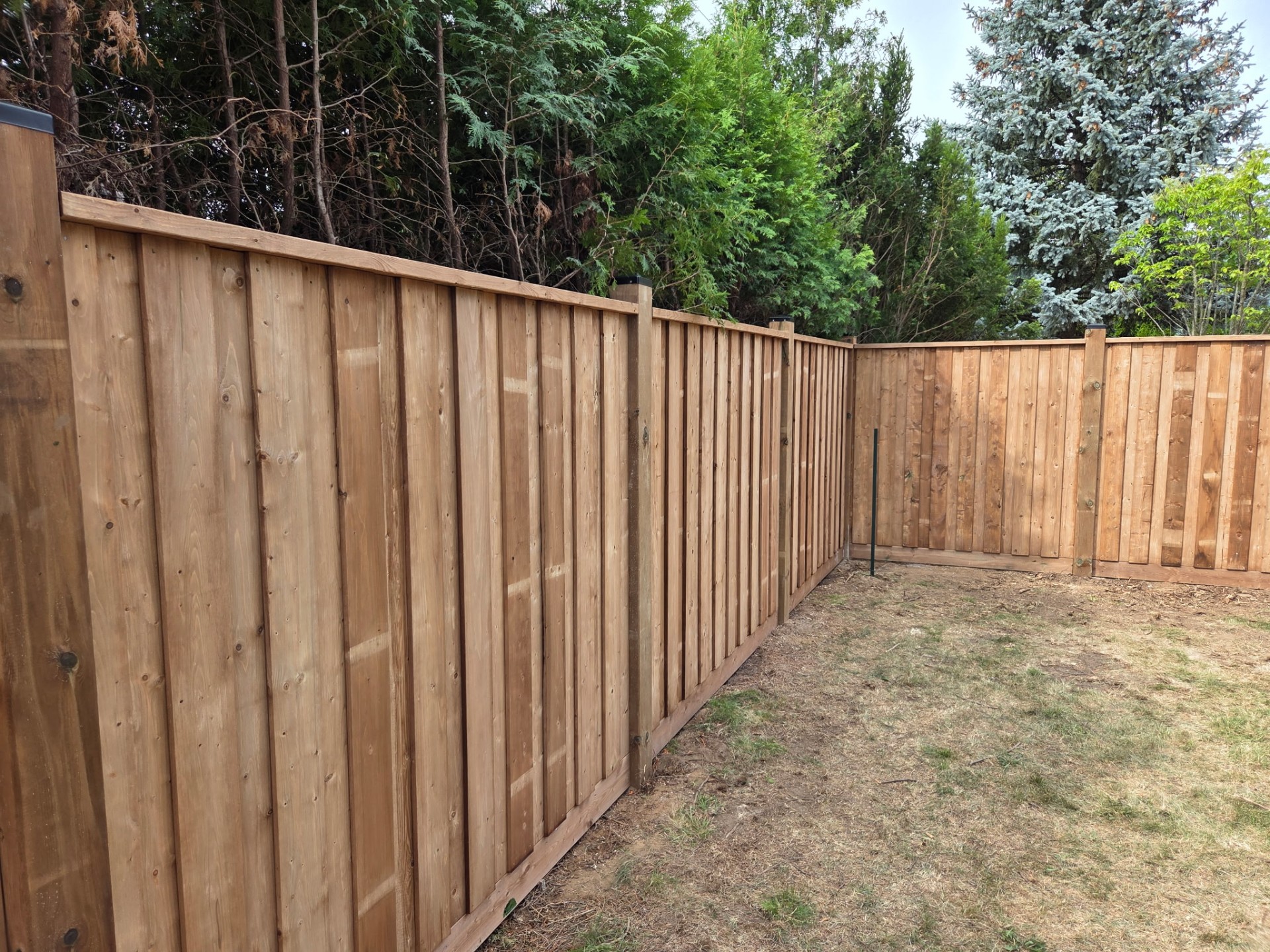 Markham – Privacy Fence Corner Lot