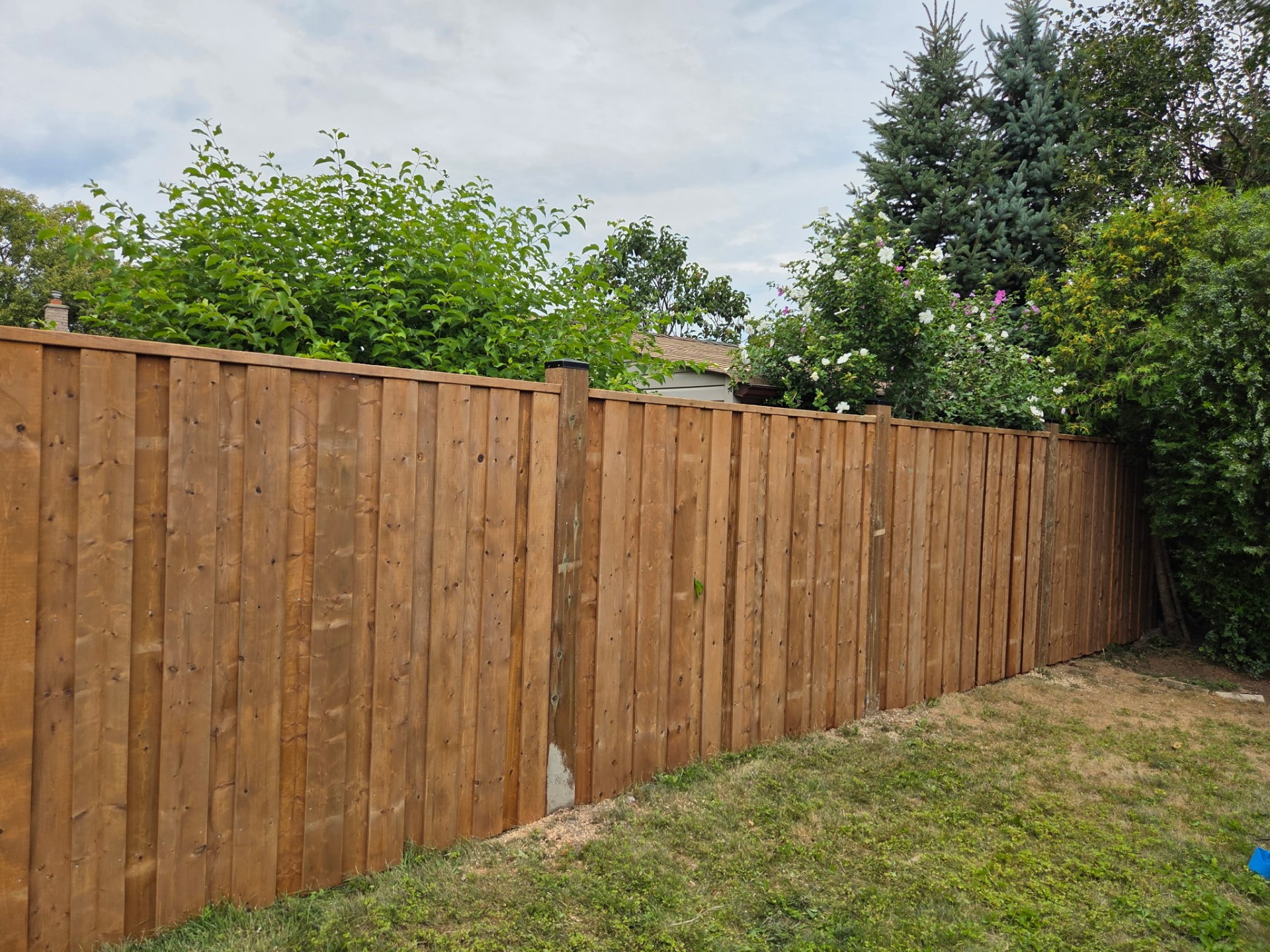 Vaughan – Backyard Privacy Wood Fence