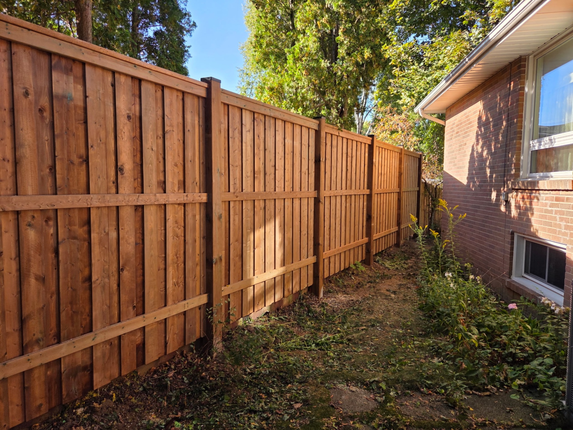 Cedar privacy fence Mississauga