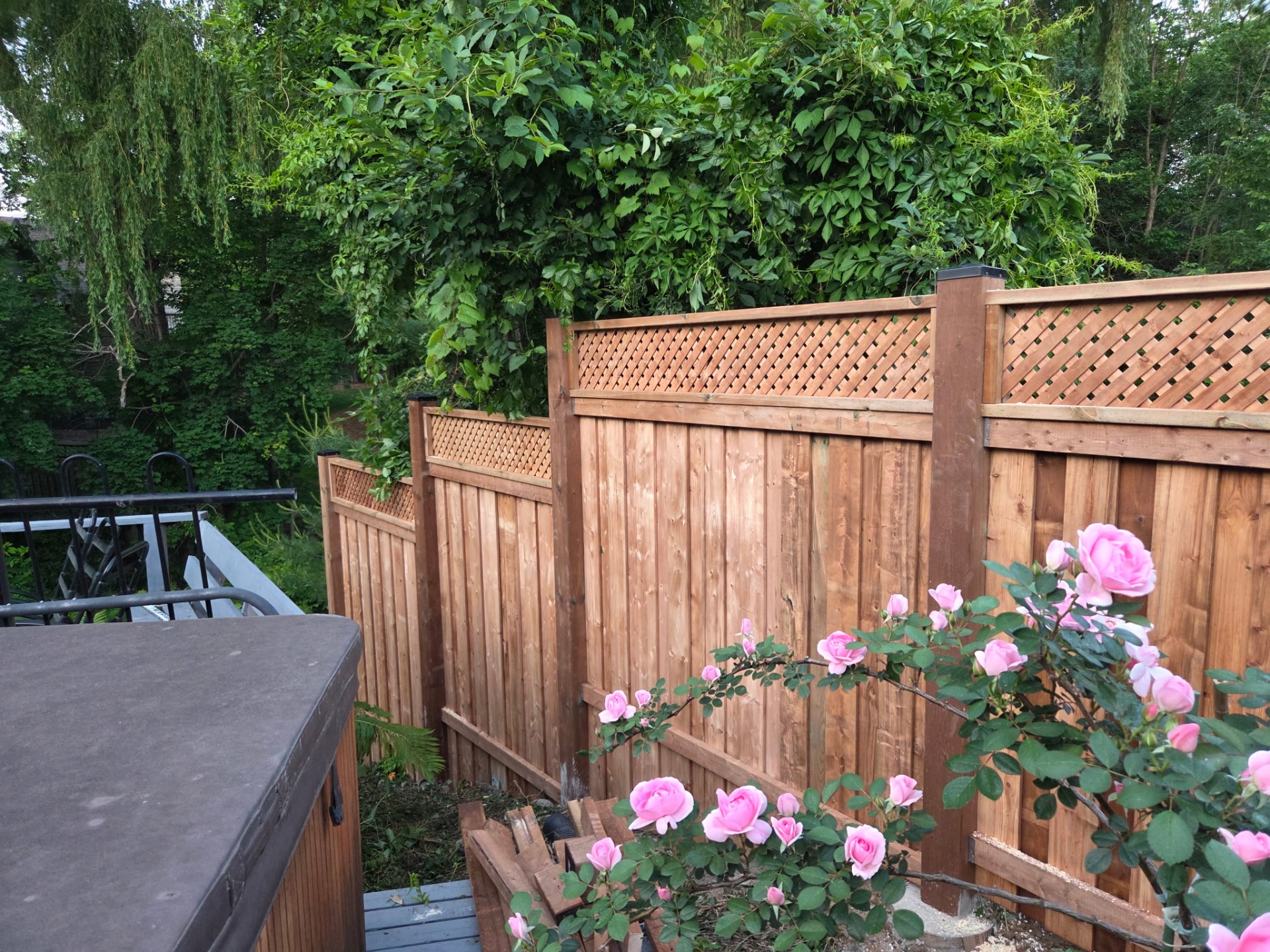 Mississauga – Lattice Top Privacy